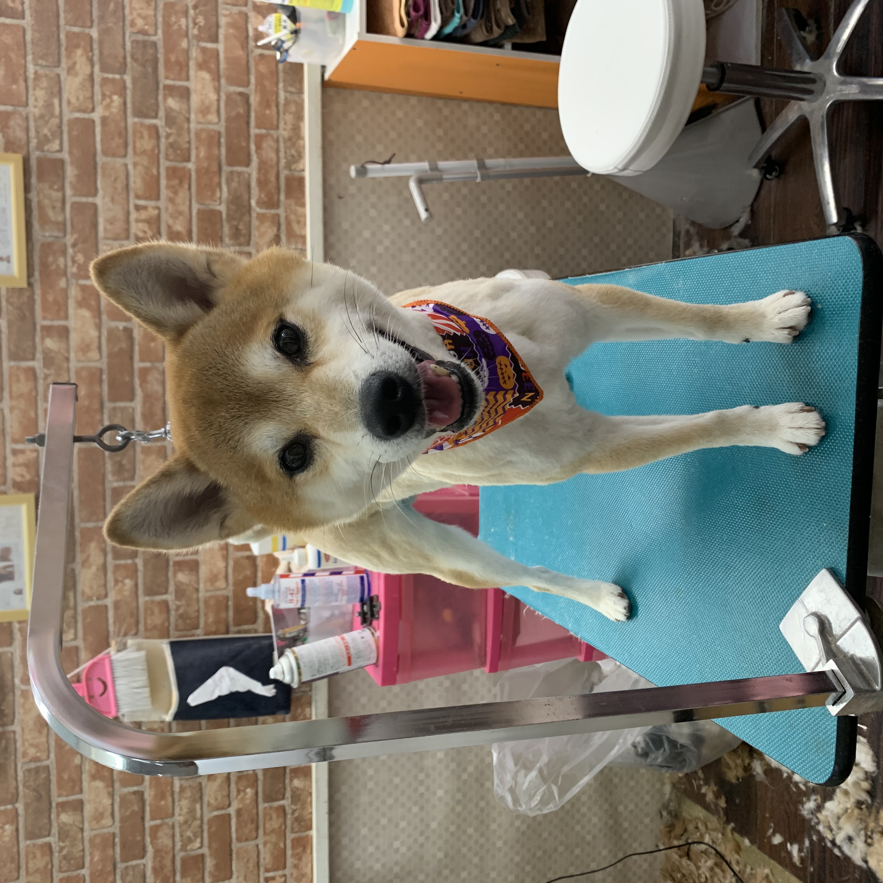 c4a1d21b-6b43-43ec-9a94-13f18a2fac49