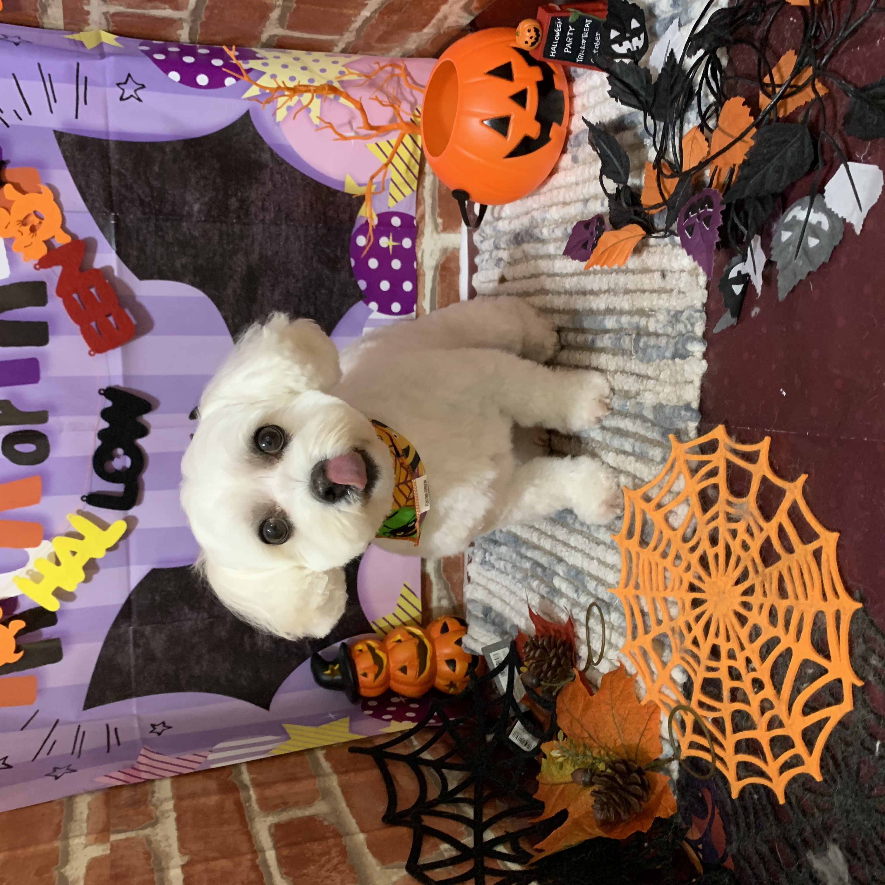 e22df842-3bed-4c71-b0eb-e784160195fa