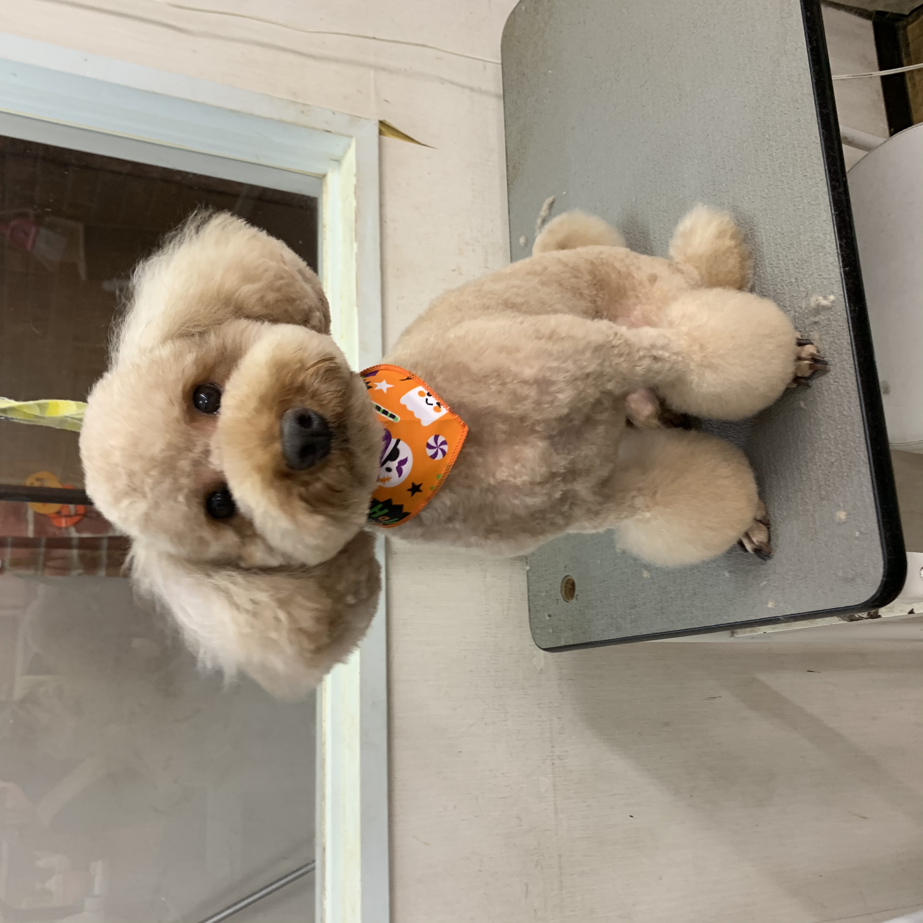 f11551c0-2f85-42a7-9685-69ef03158fcf