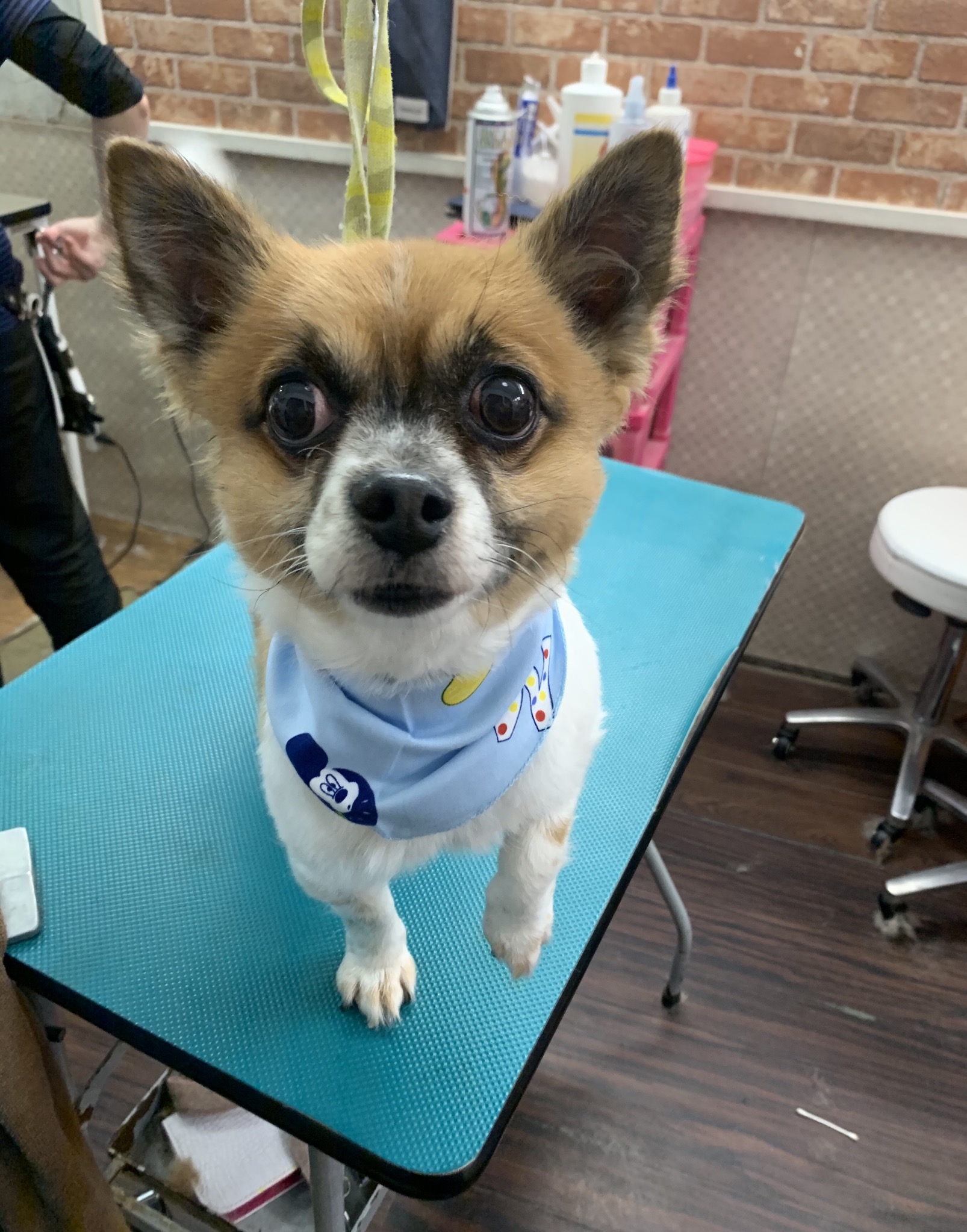 337b62d7-f243-4b1e-ac7b-ec6822a59753