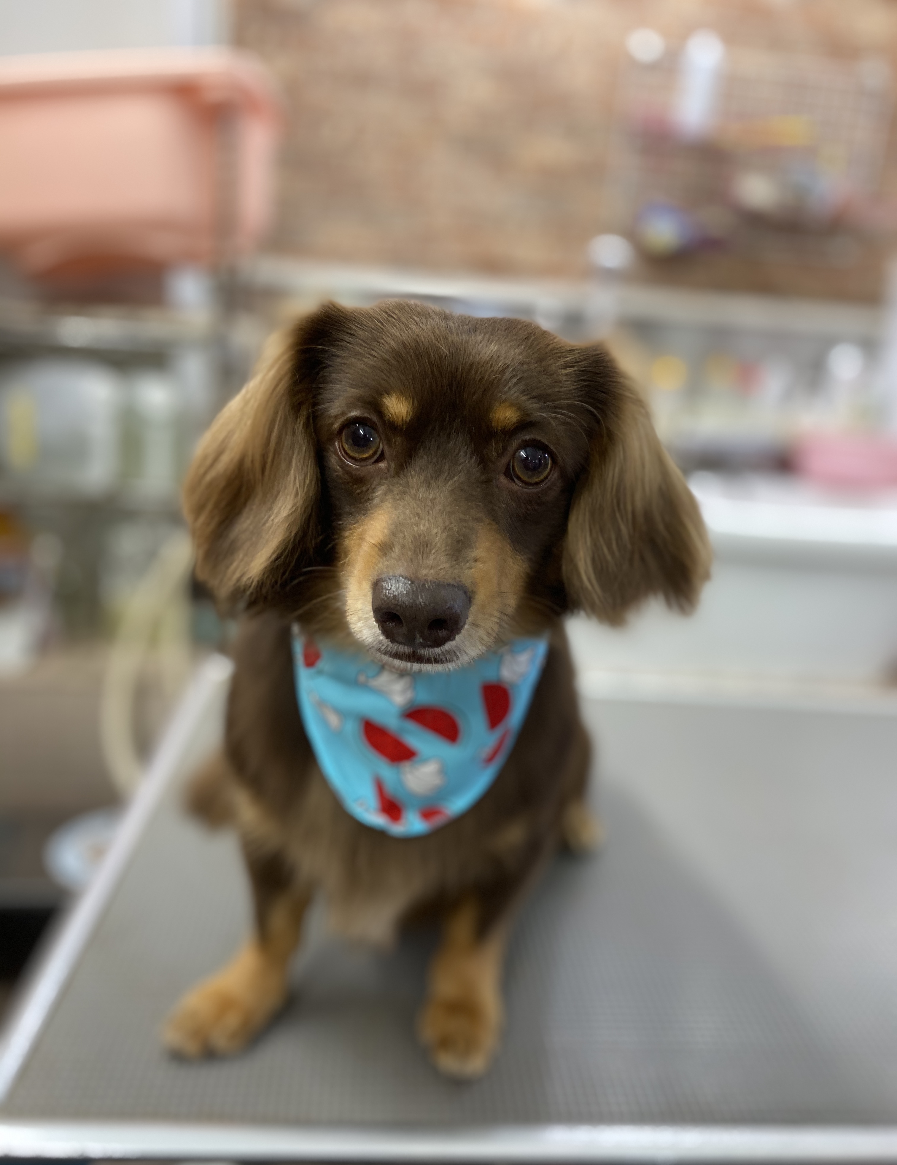 124f829e-28b3-48b0-8eae-9da0f871a208