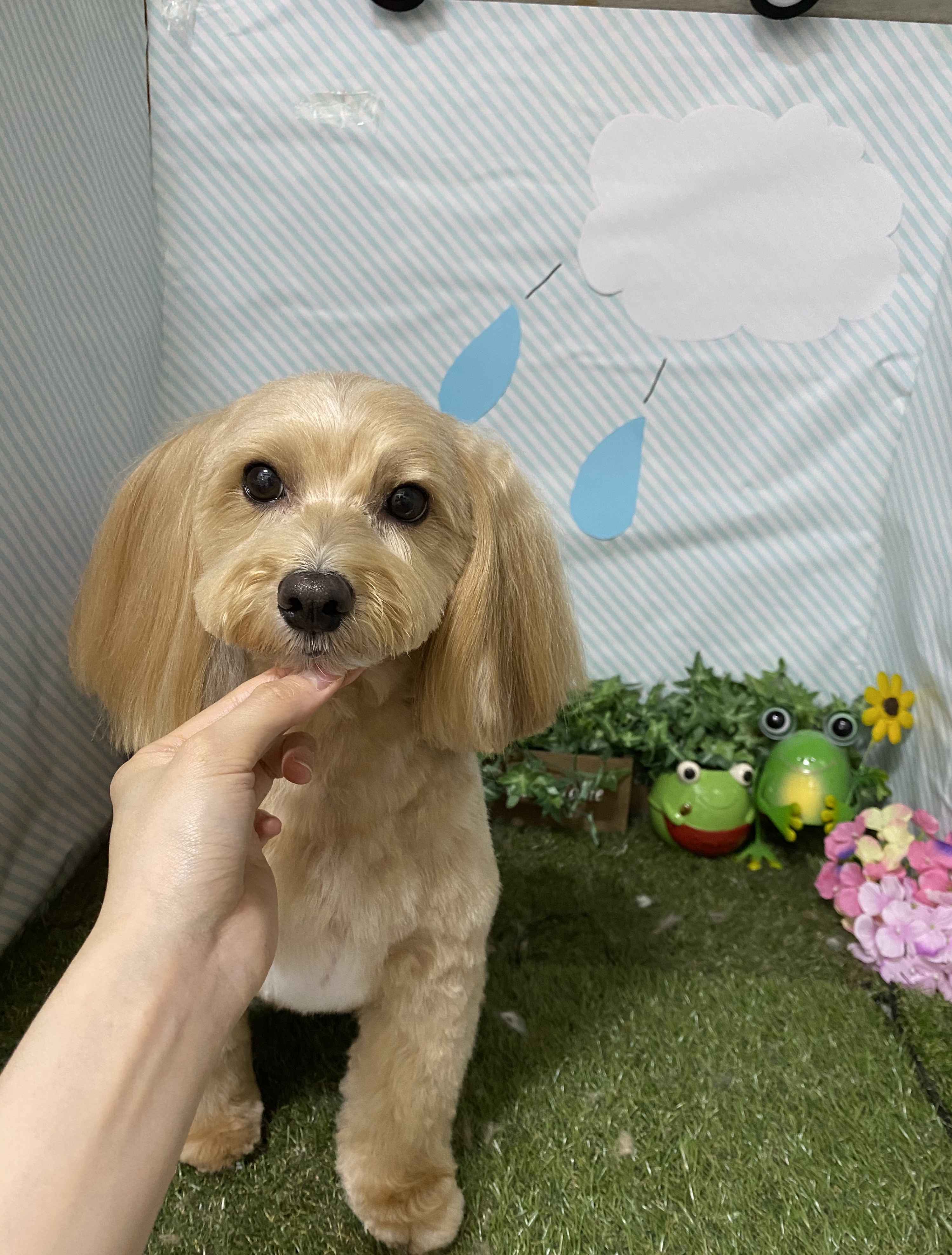 17d6e1f1-37b7-4254-b3bc-35e40b09e856