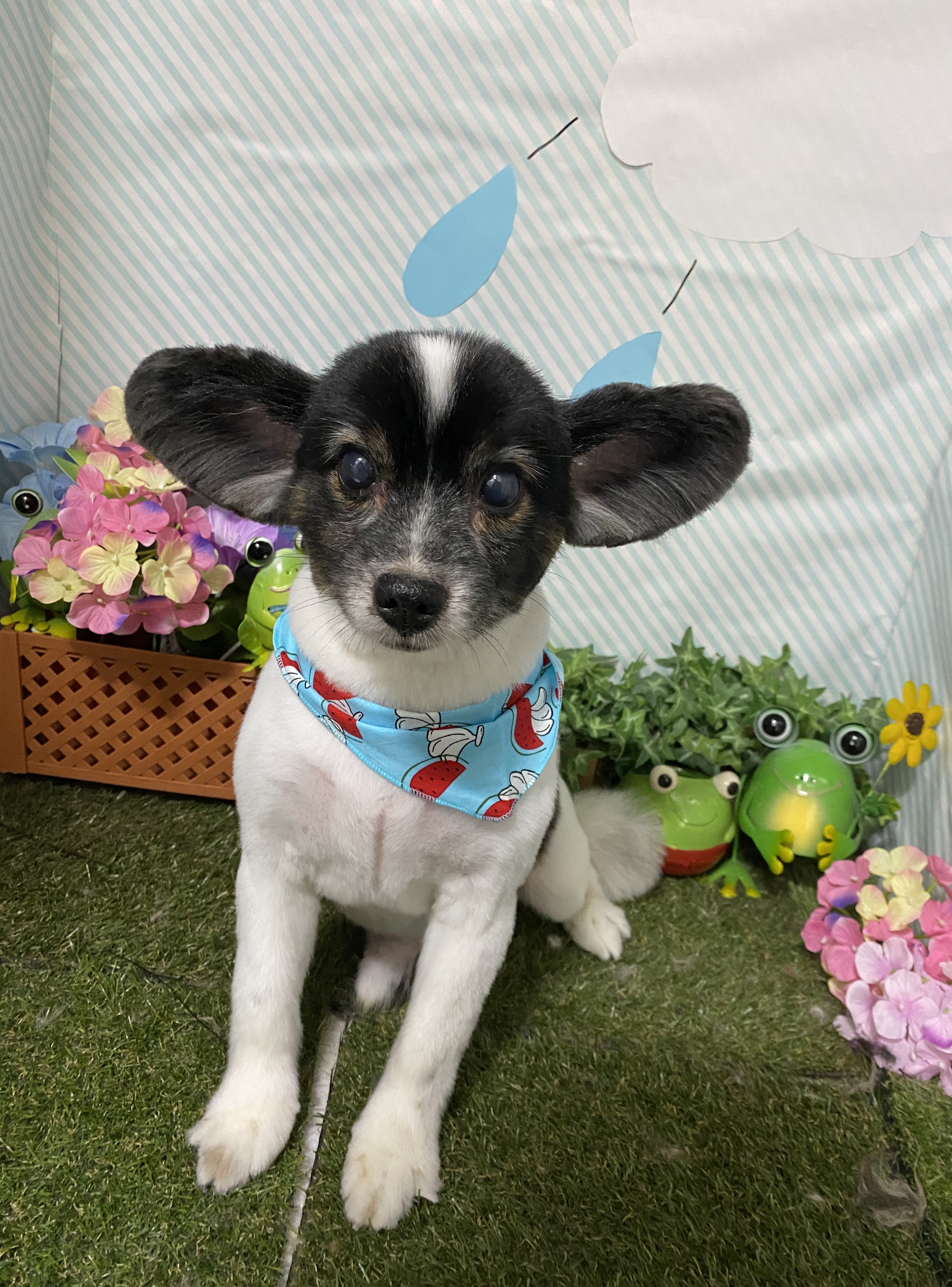 3210eaa9-4431-4a93-bbef-9c5b3f2ace94