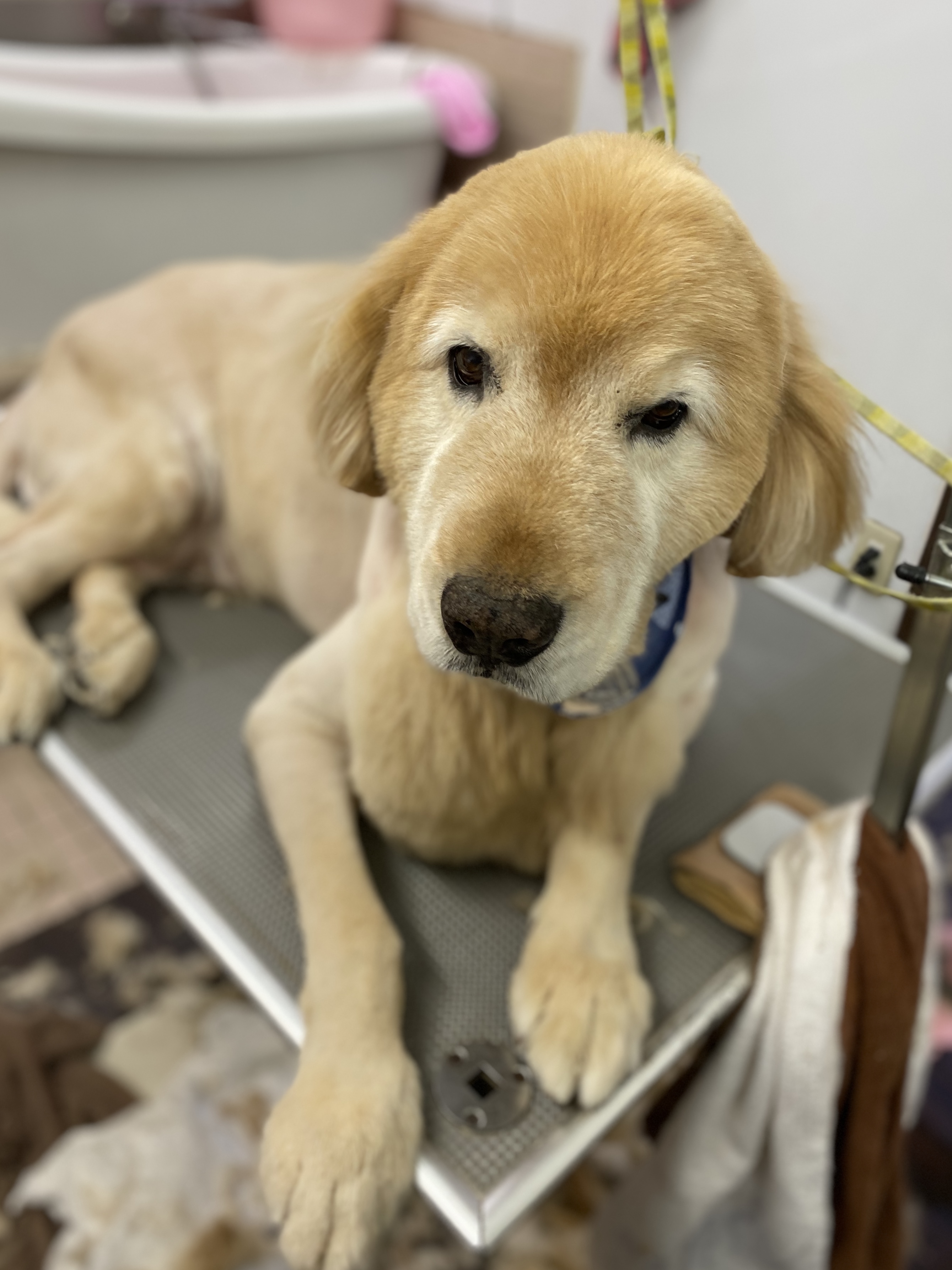 62d3ecbb-e6f2-45d9-aacd-f46caff72ce8