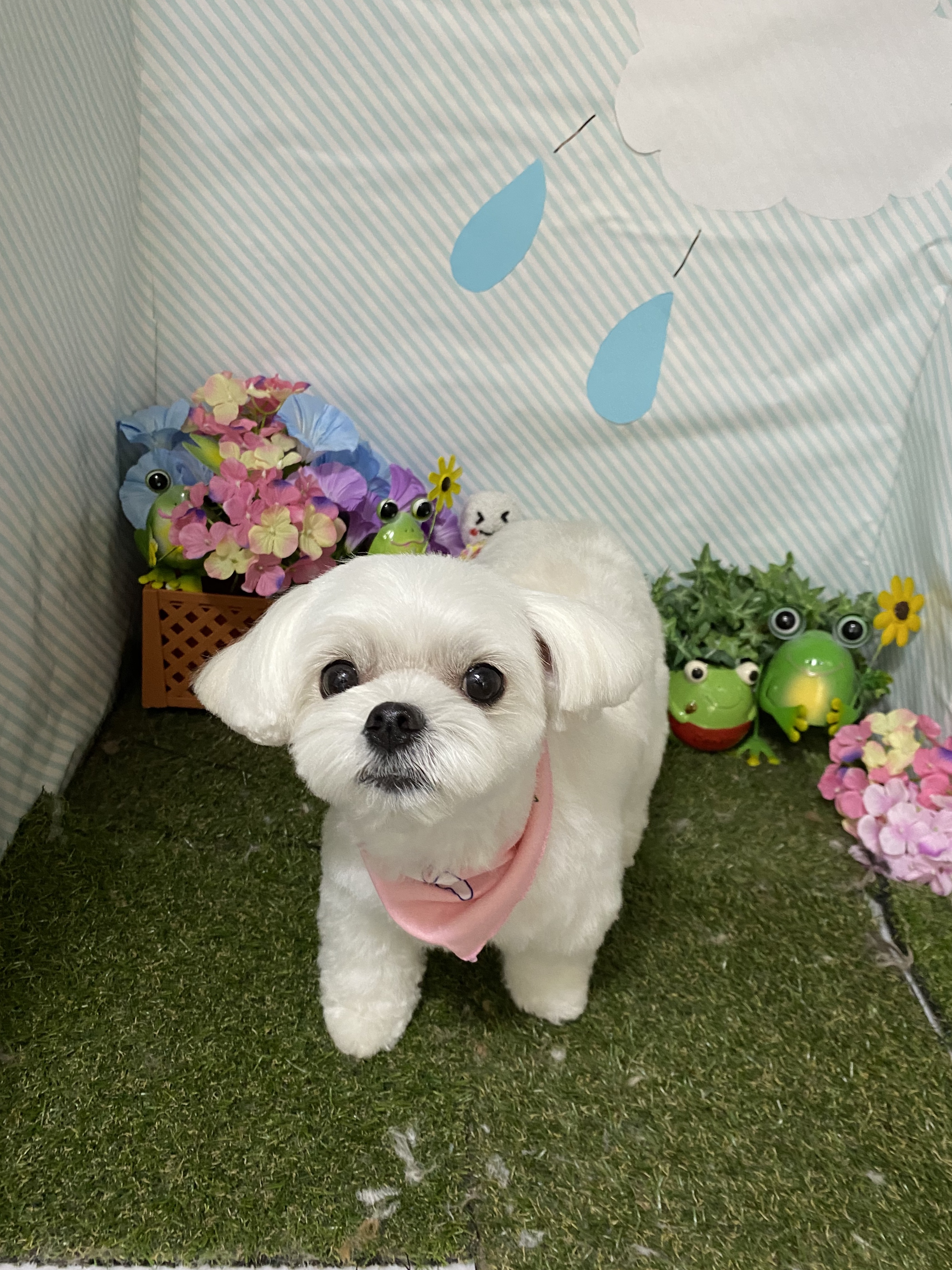 7083a86c-15fb-4d6e-8e15-5c6b481ec60d