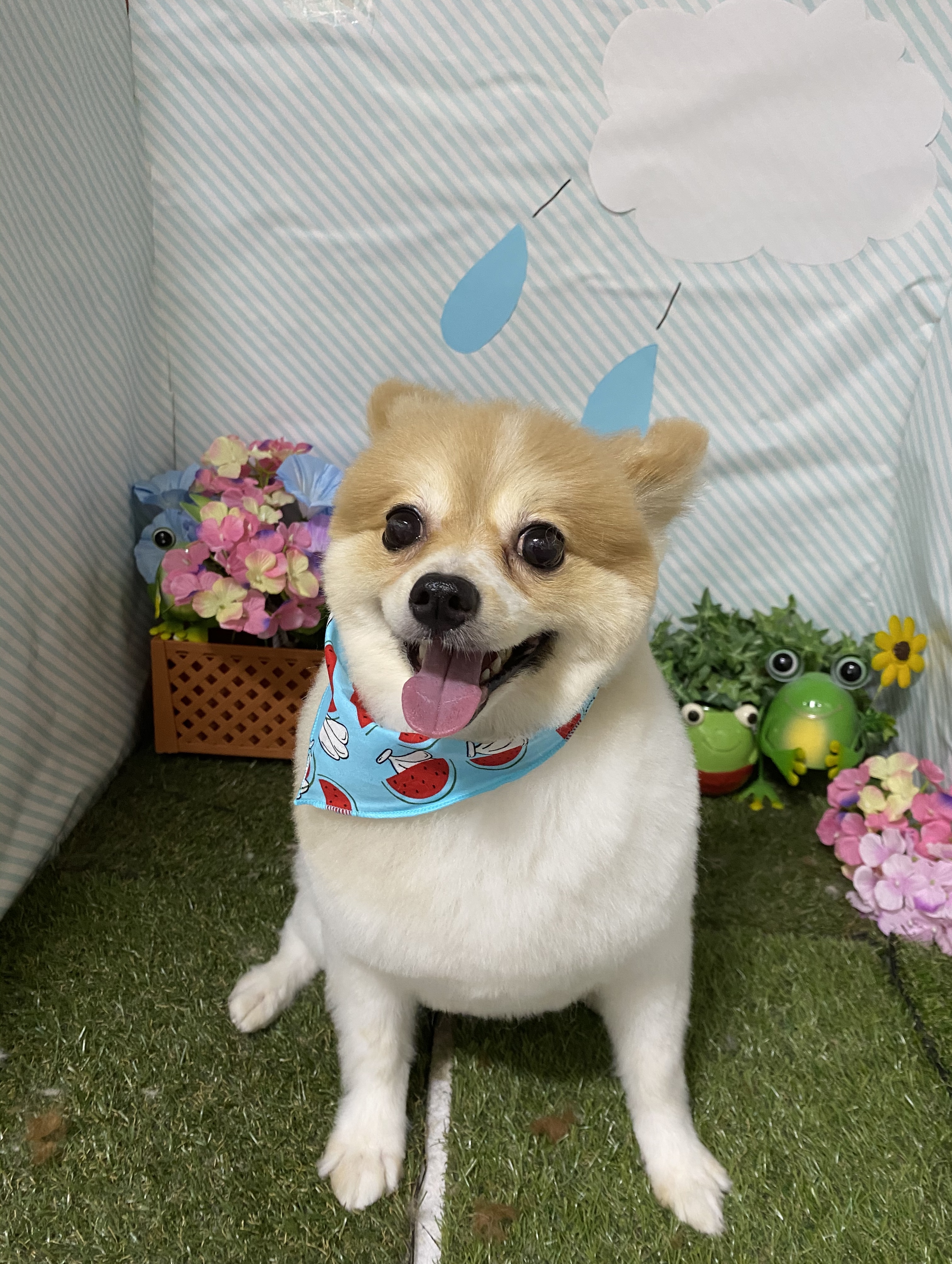 8a8ec96e-708d-4859-ba8d-ff75dda00645