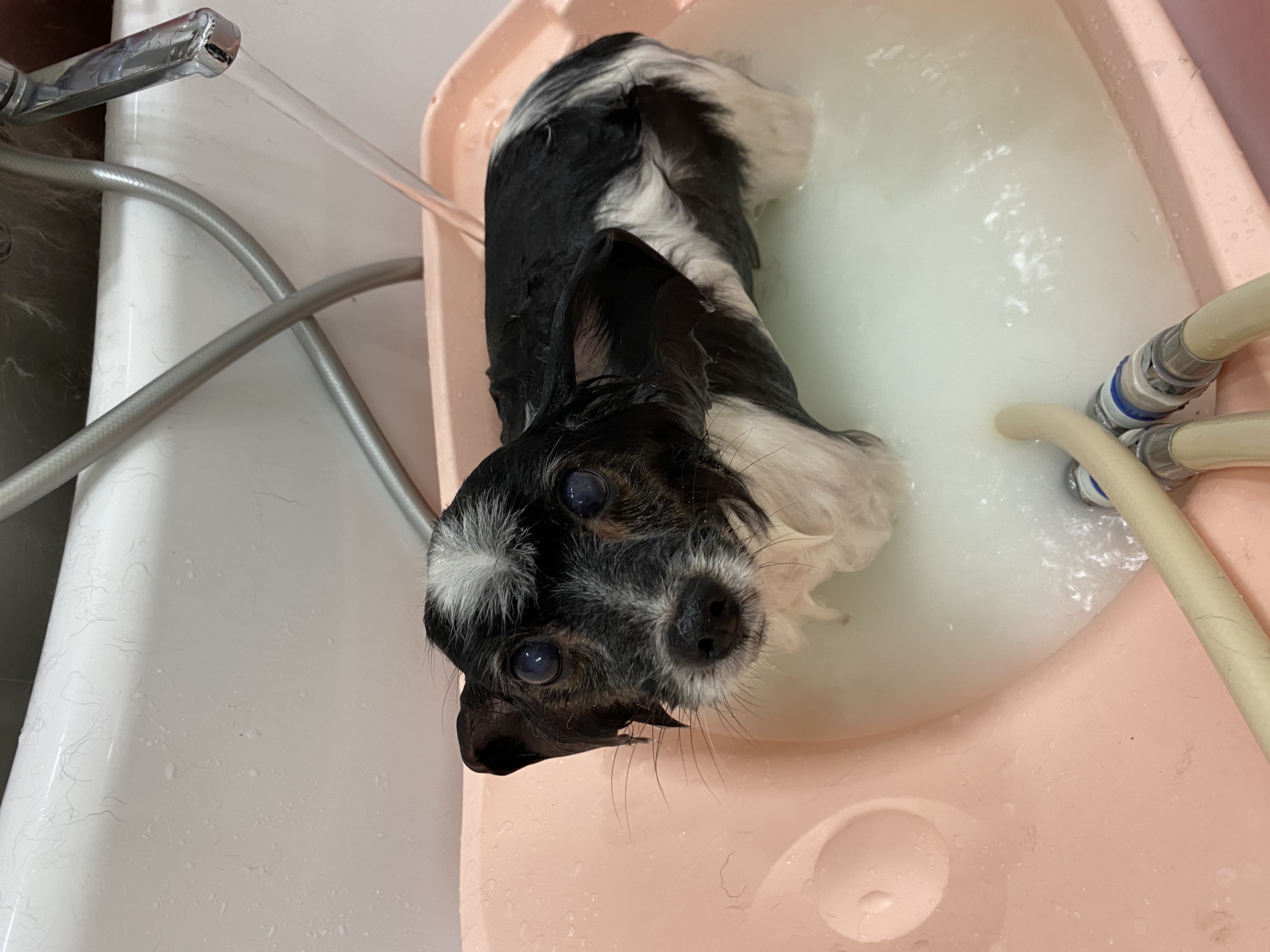 faee7eea-d5d3-4ea4-82e8-63fbe7ebe56f