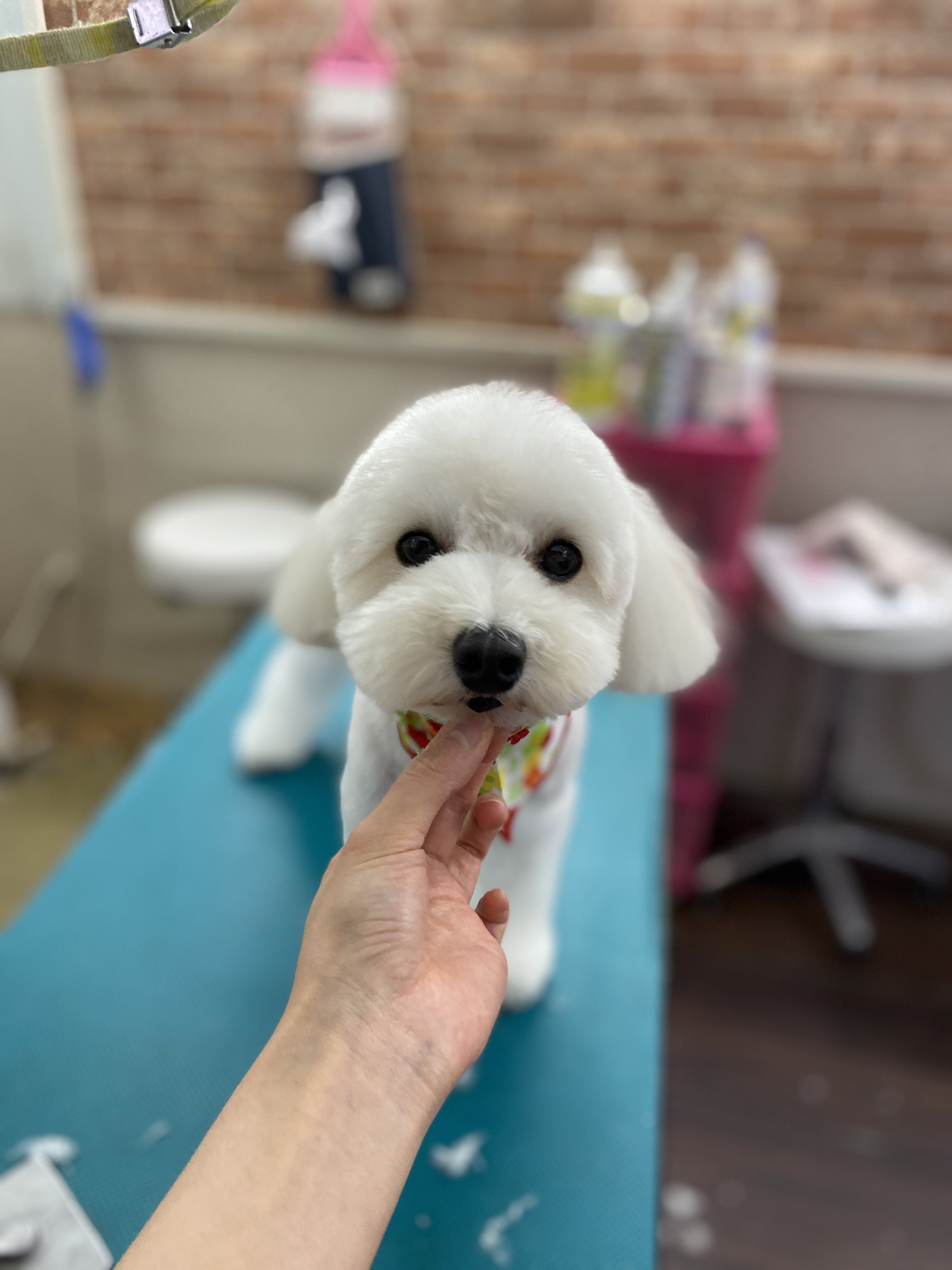 096efa9b-615e-461a-bbff-3e9495cff51b