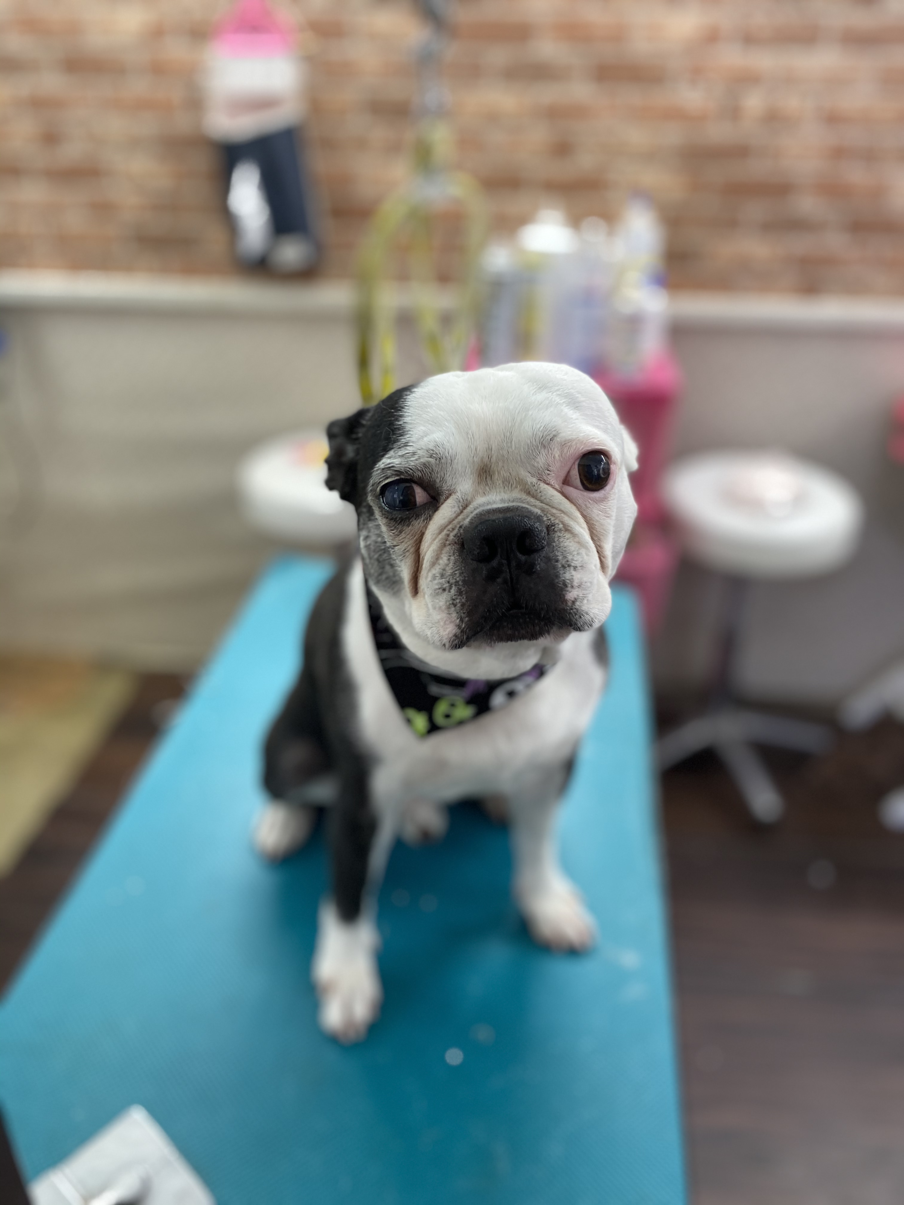 0a43a4e1-ee30-447a-b977-3454a7197819