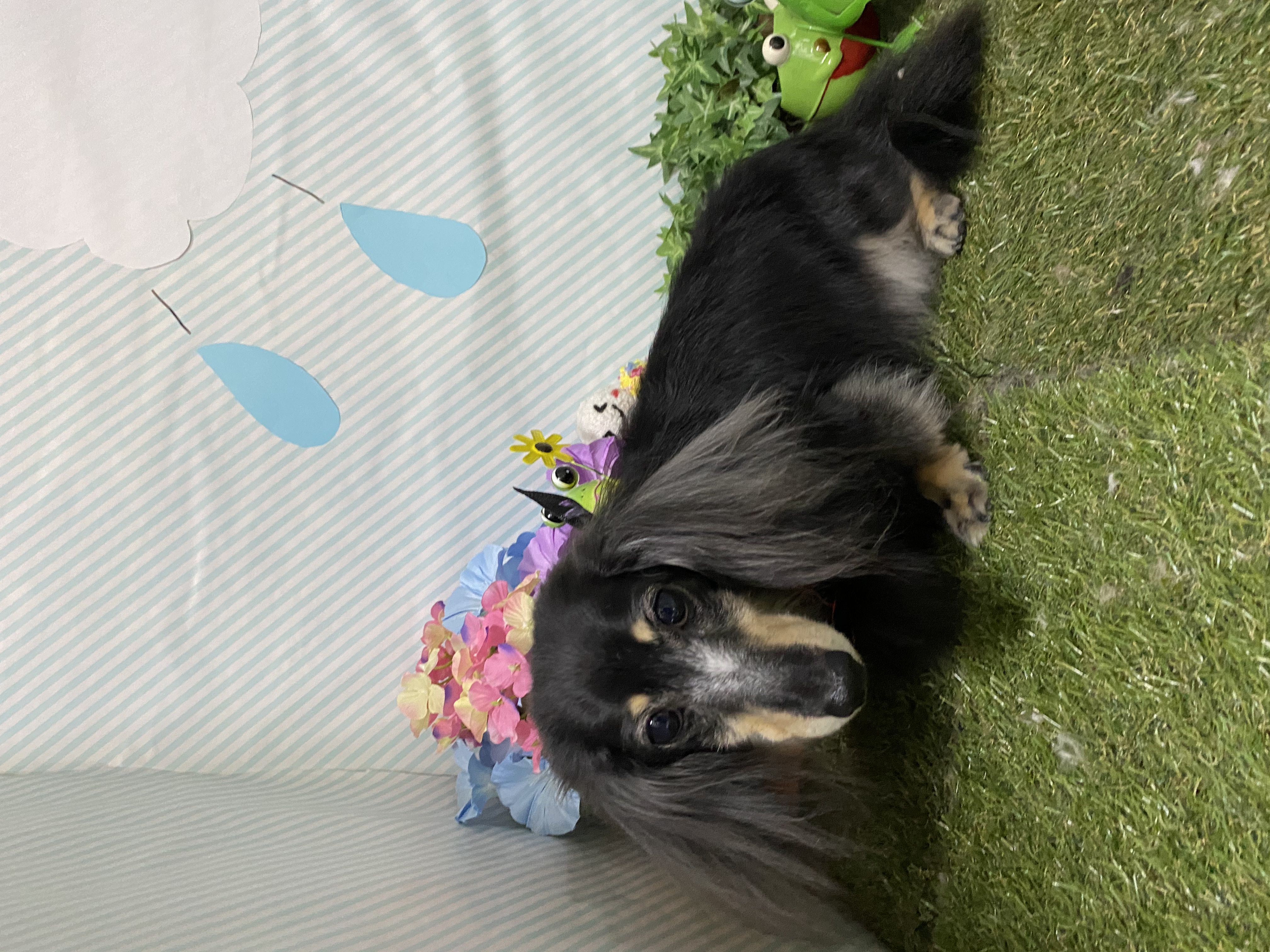 20a0852e-2dd8-4544-a1f8-549818787ea3