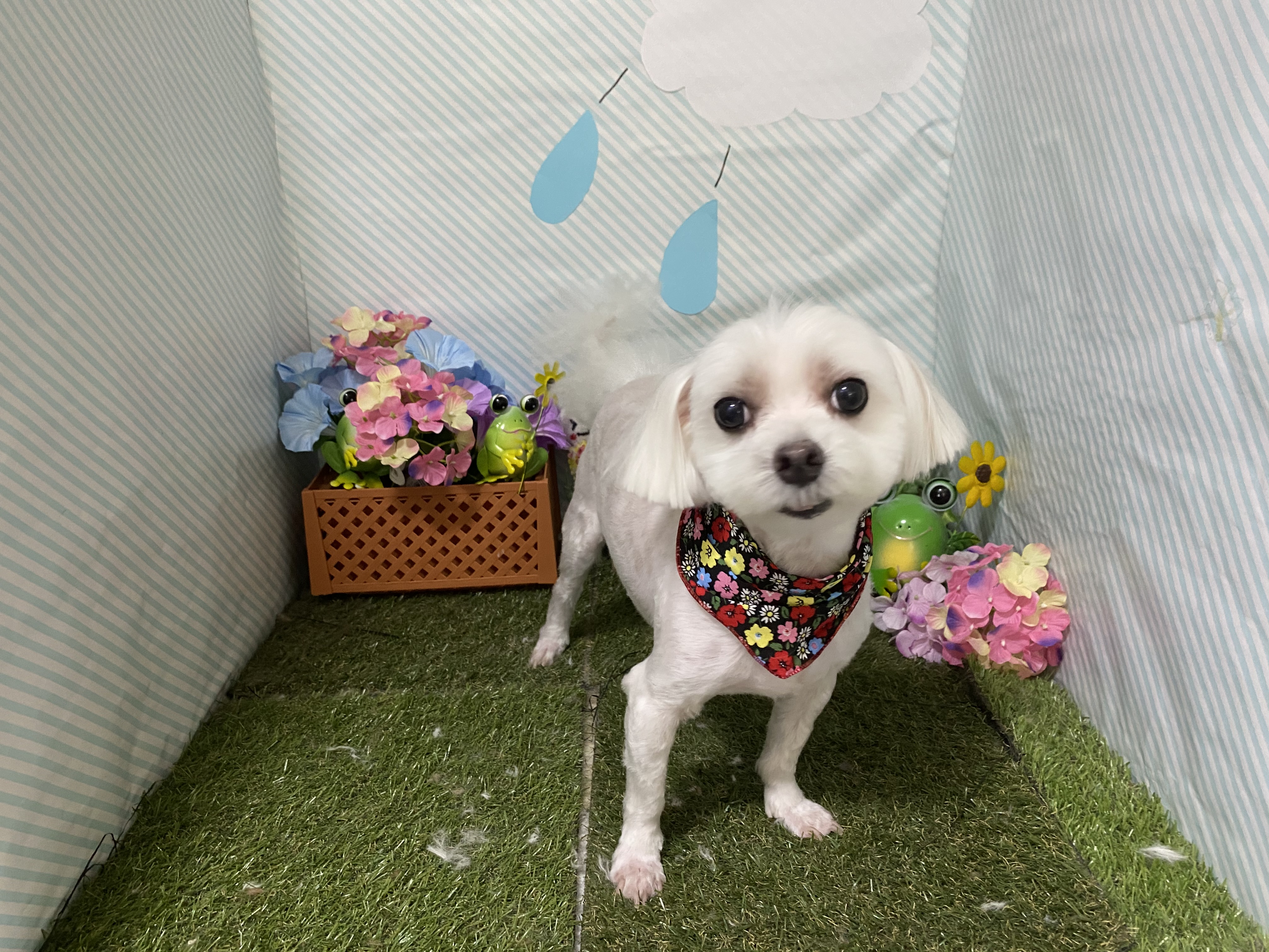 38ad1b3e-34cd-4c62-81aa-5fc9af7c3f16