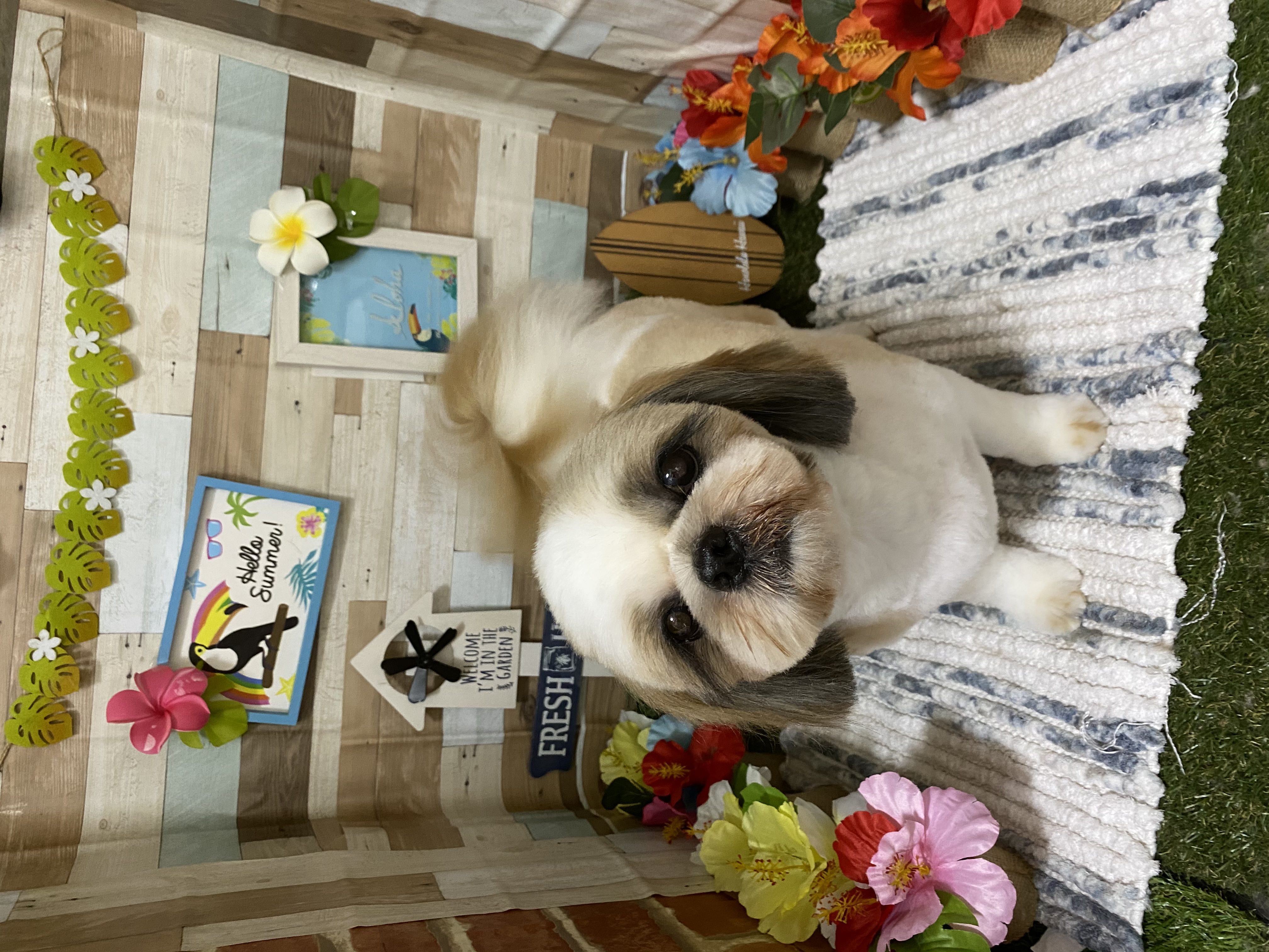 42a6353e-65f7-4068-bd98-42ac5148b670