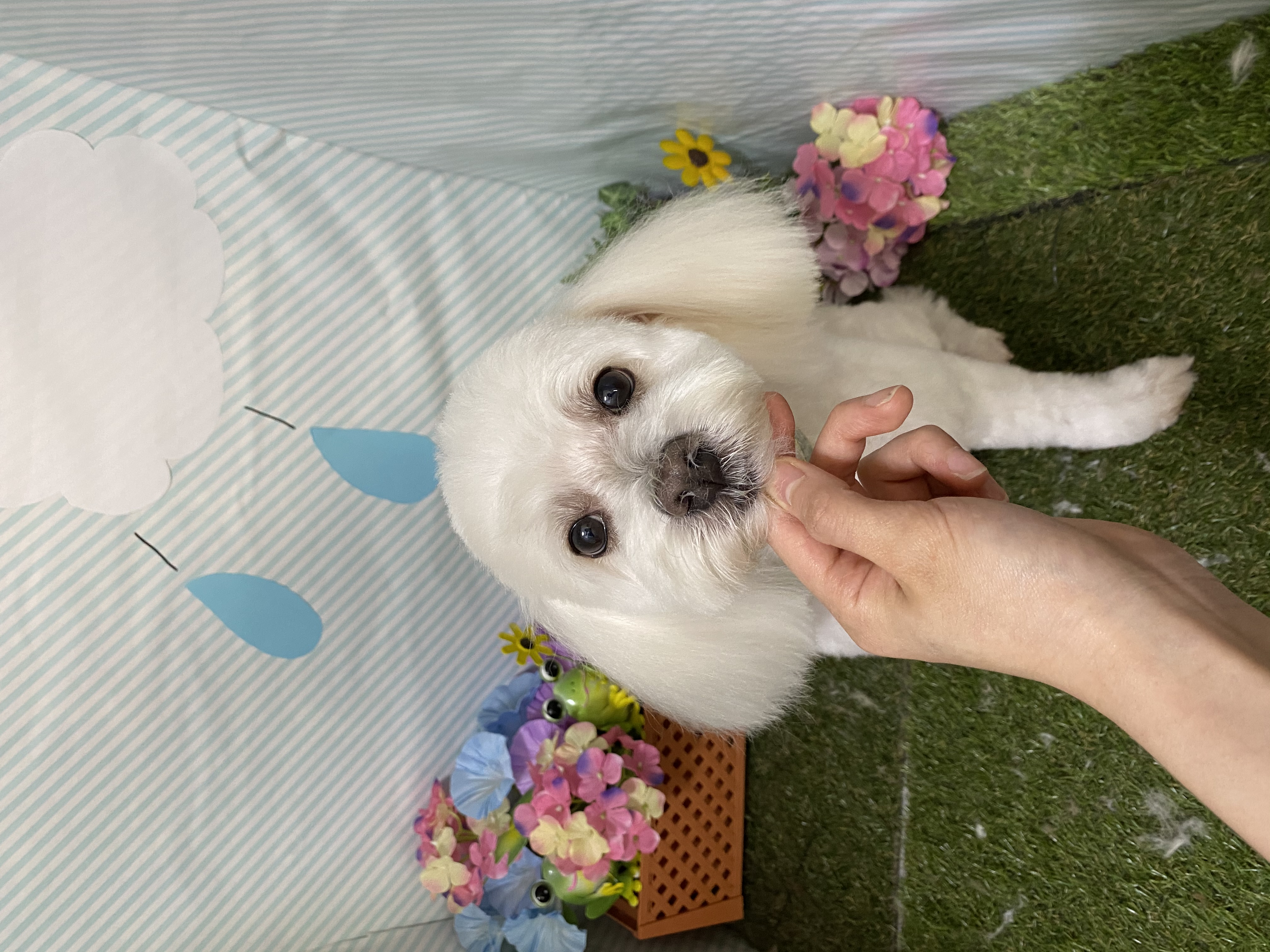 5a03c296-483d-402a-a52e-76087db33000