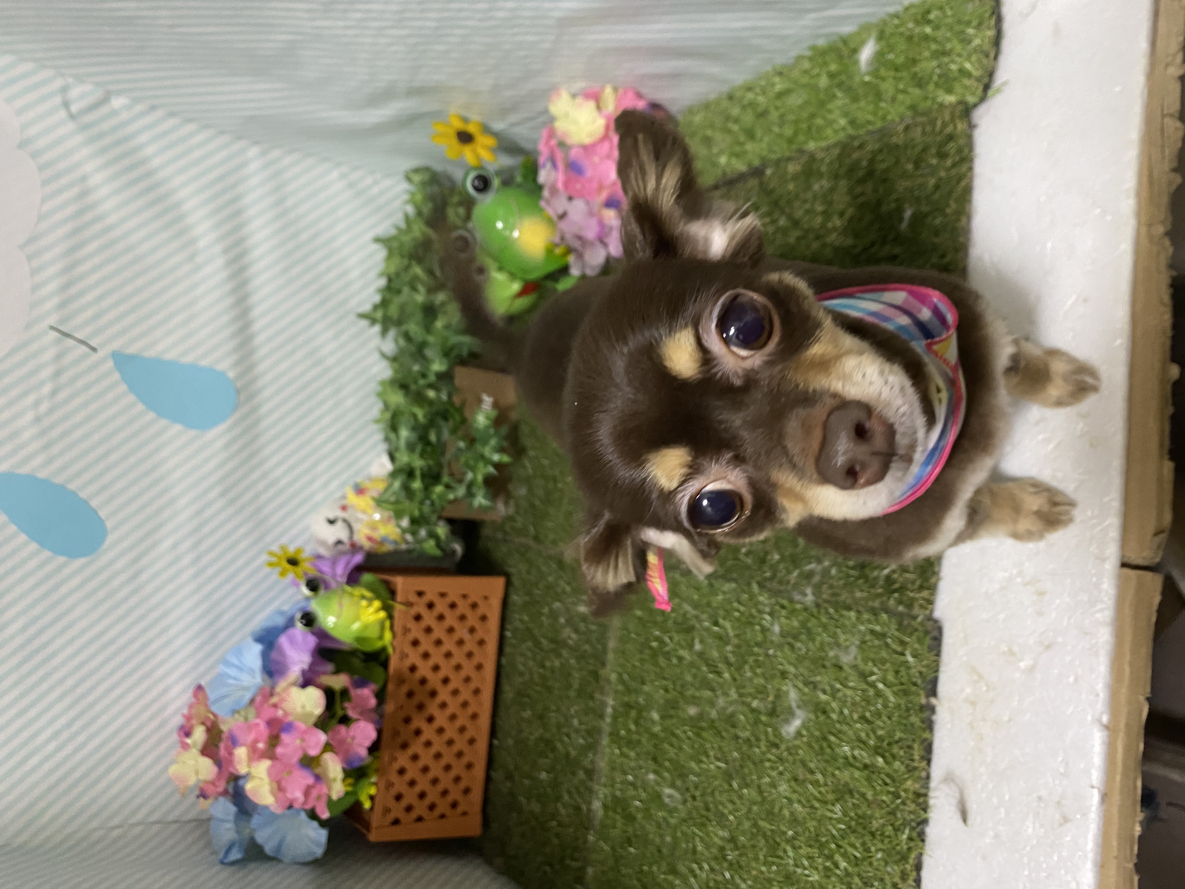 5faac5f0-8b46-47f3-8159-0d7276cdfc97