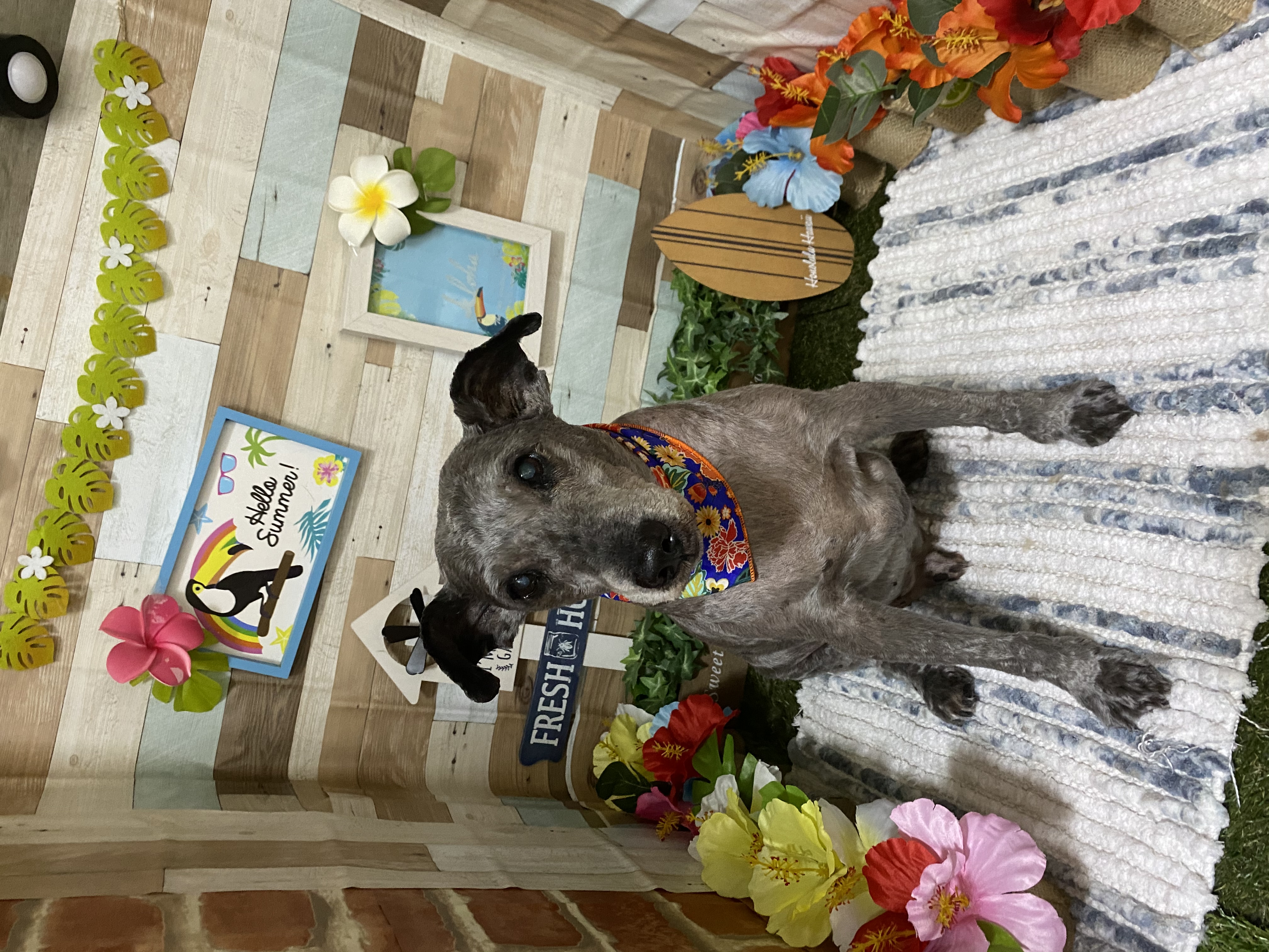 6d62e2e5-7936-4004-b910-7e29bb35651b