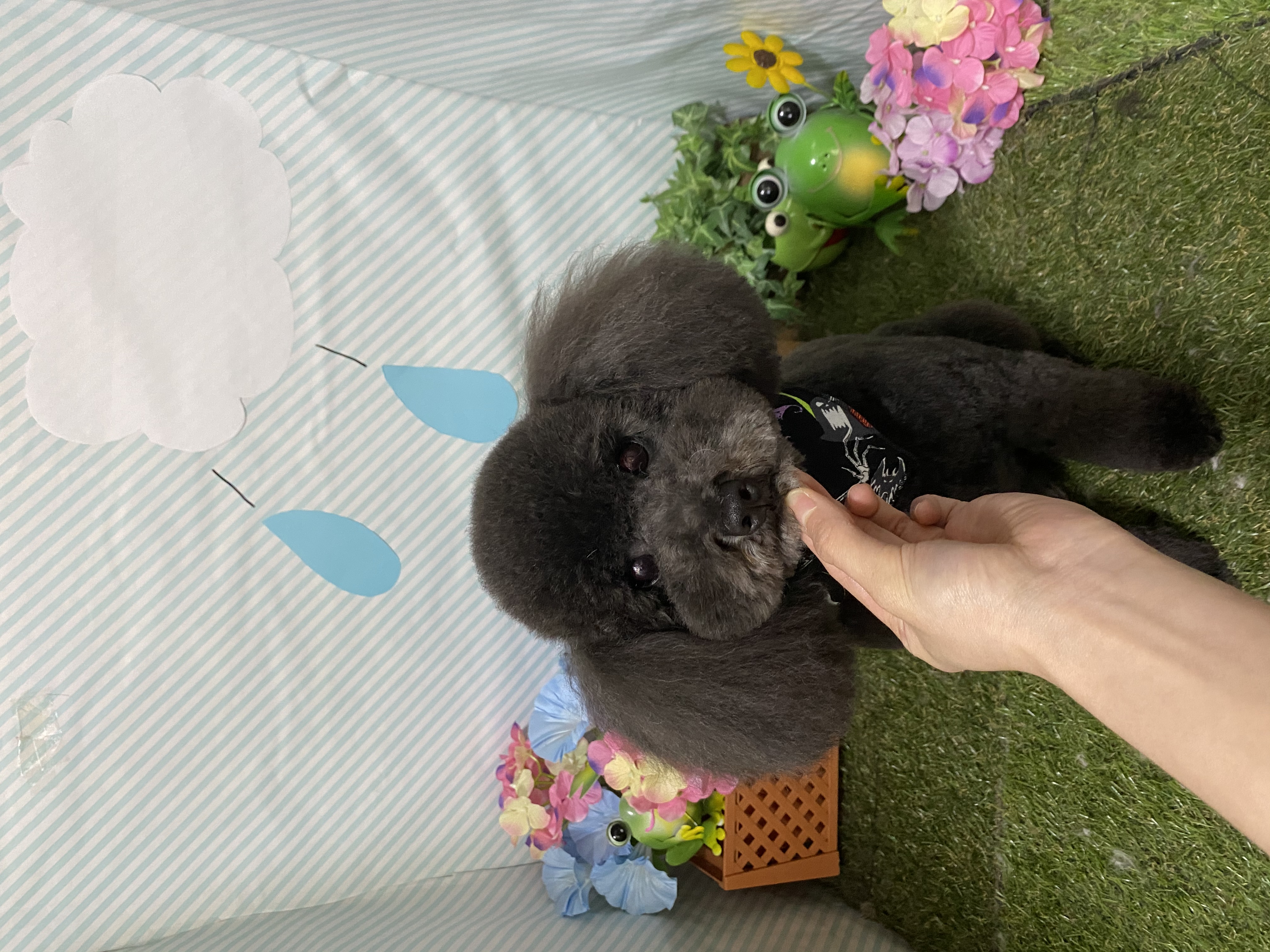 78ab695f-e0e6-4543-ae2c-33987a1b15ae