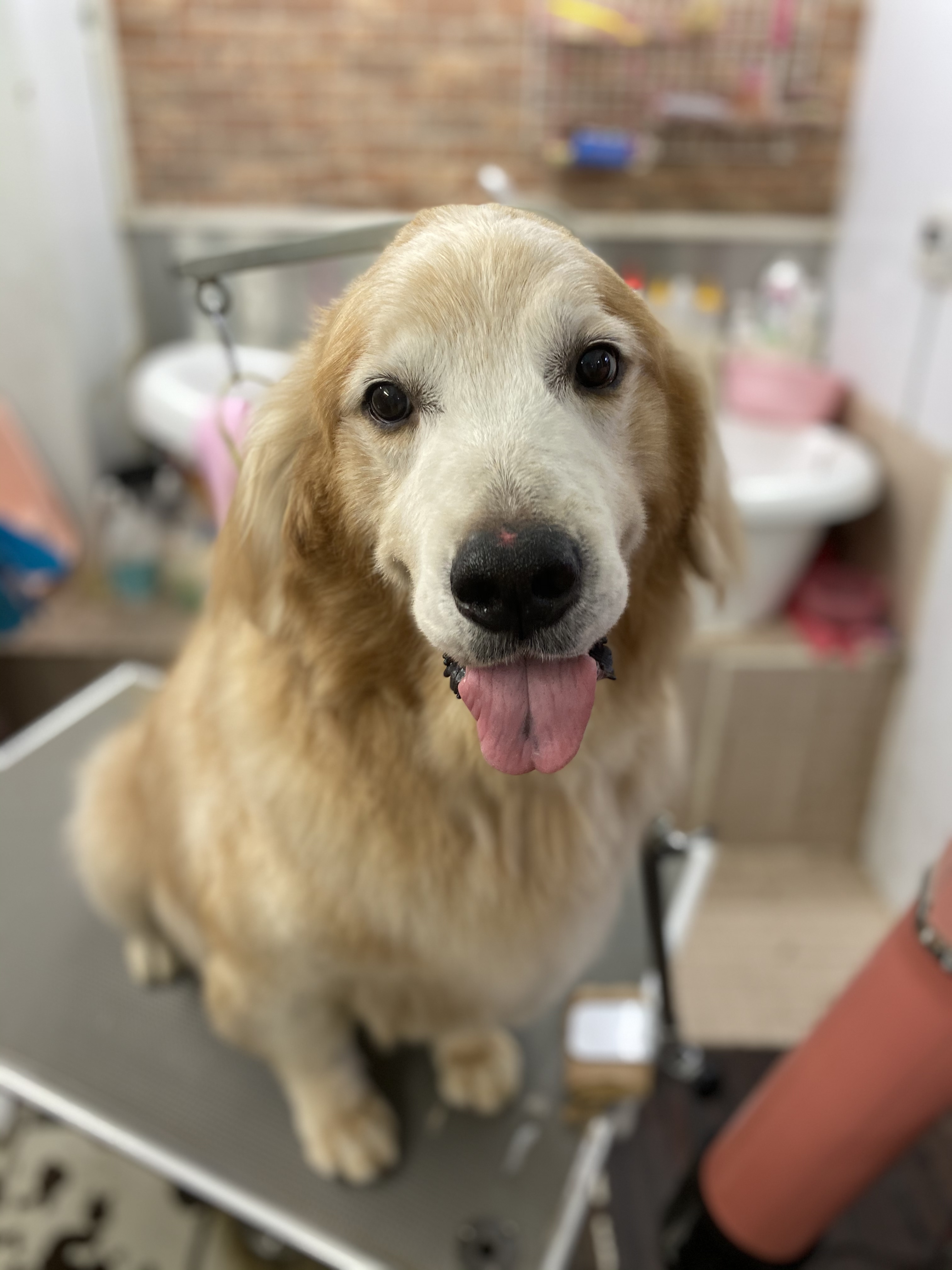 84fae76a-2dd3-416a-9cb5-035755a26fd4