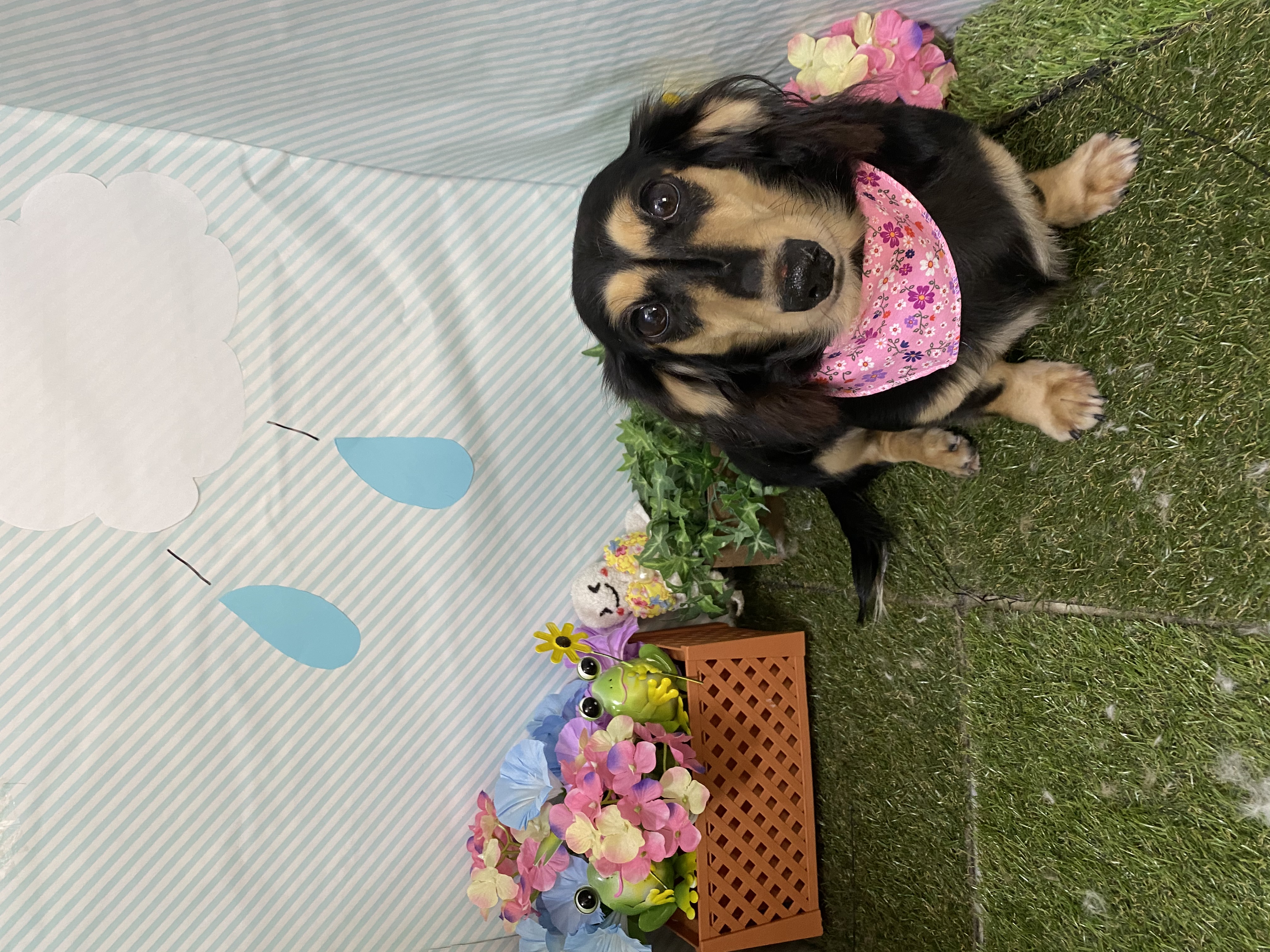 b326d925-0d6a-499a-b77d-6f41a00073f3