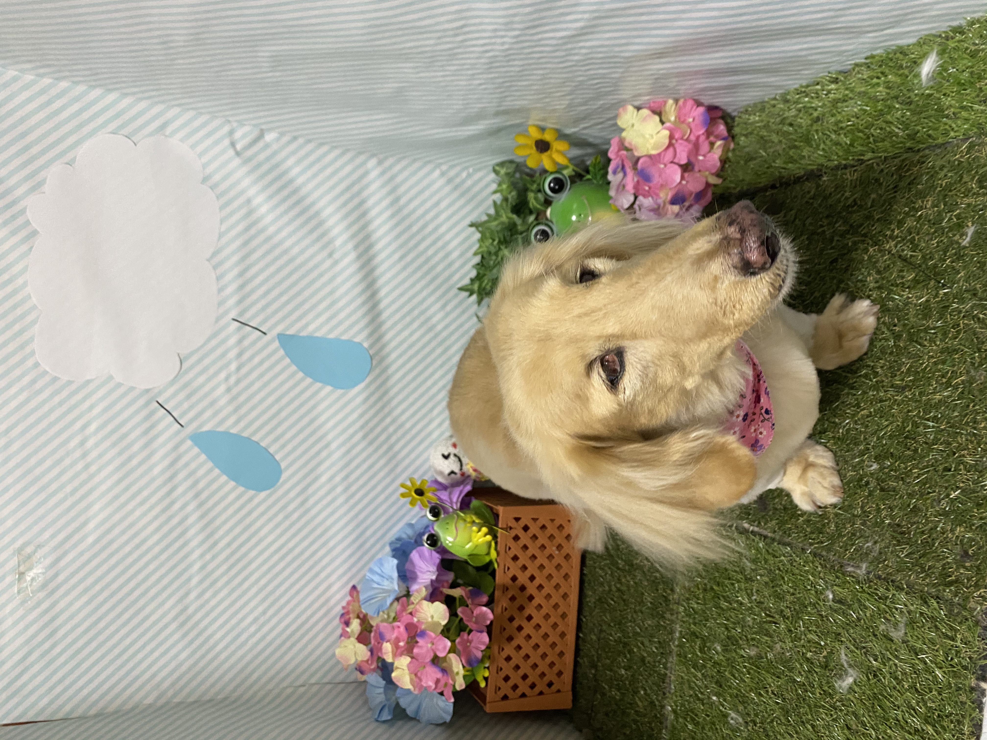 b62bf214-97f8-4a7a-9ff2-35852f529018