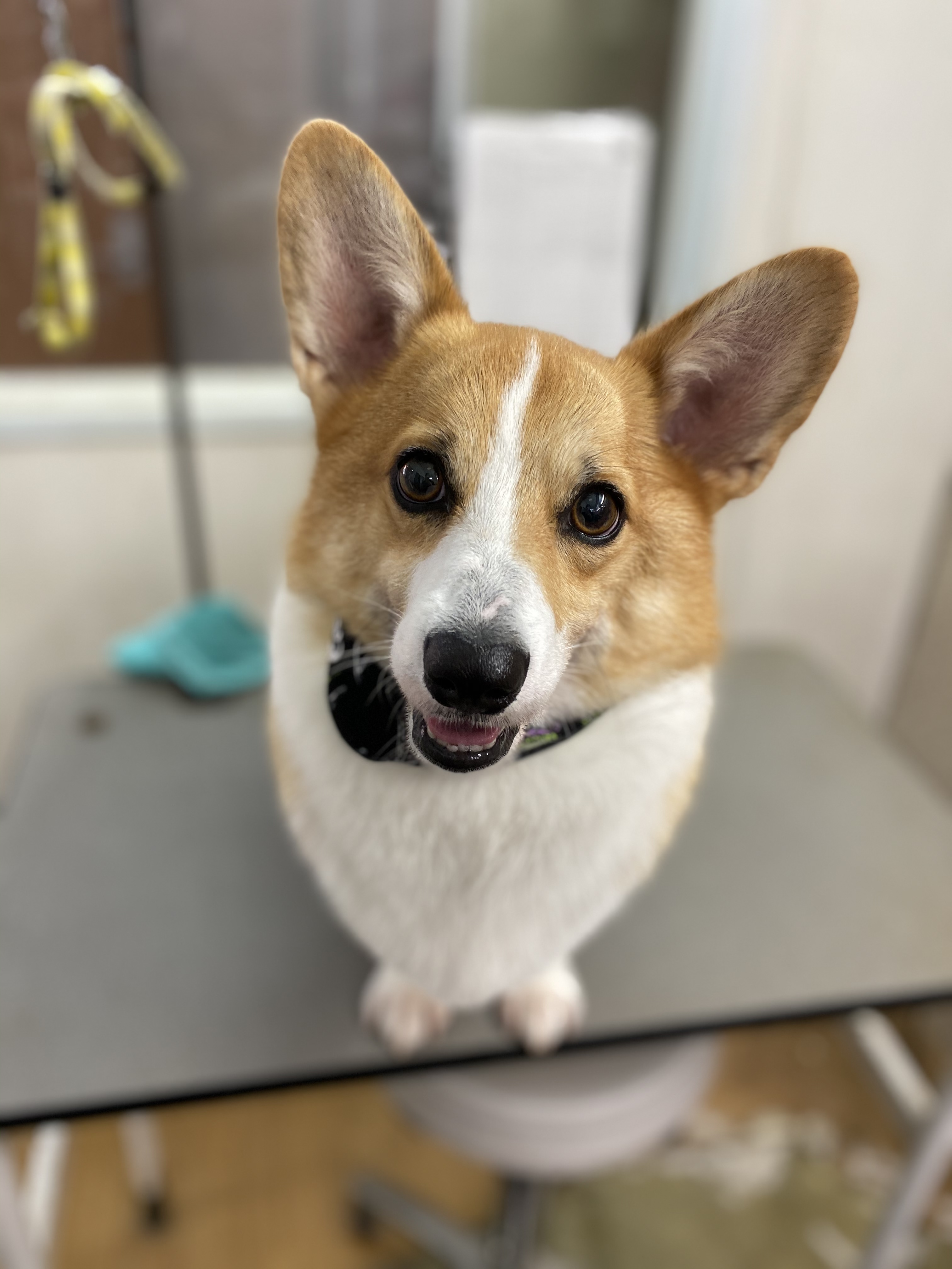 c2b215e3-b04a-4053-aa08-6aa8d2860086