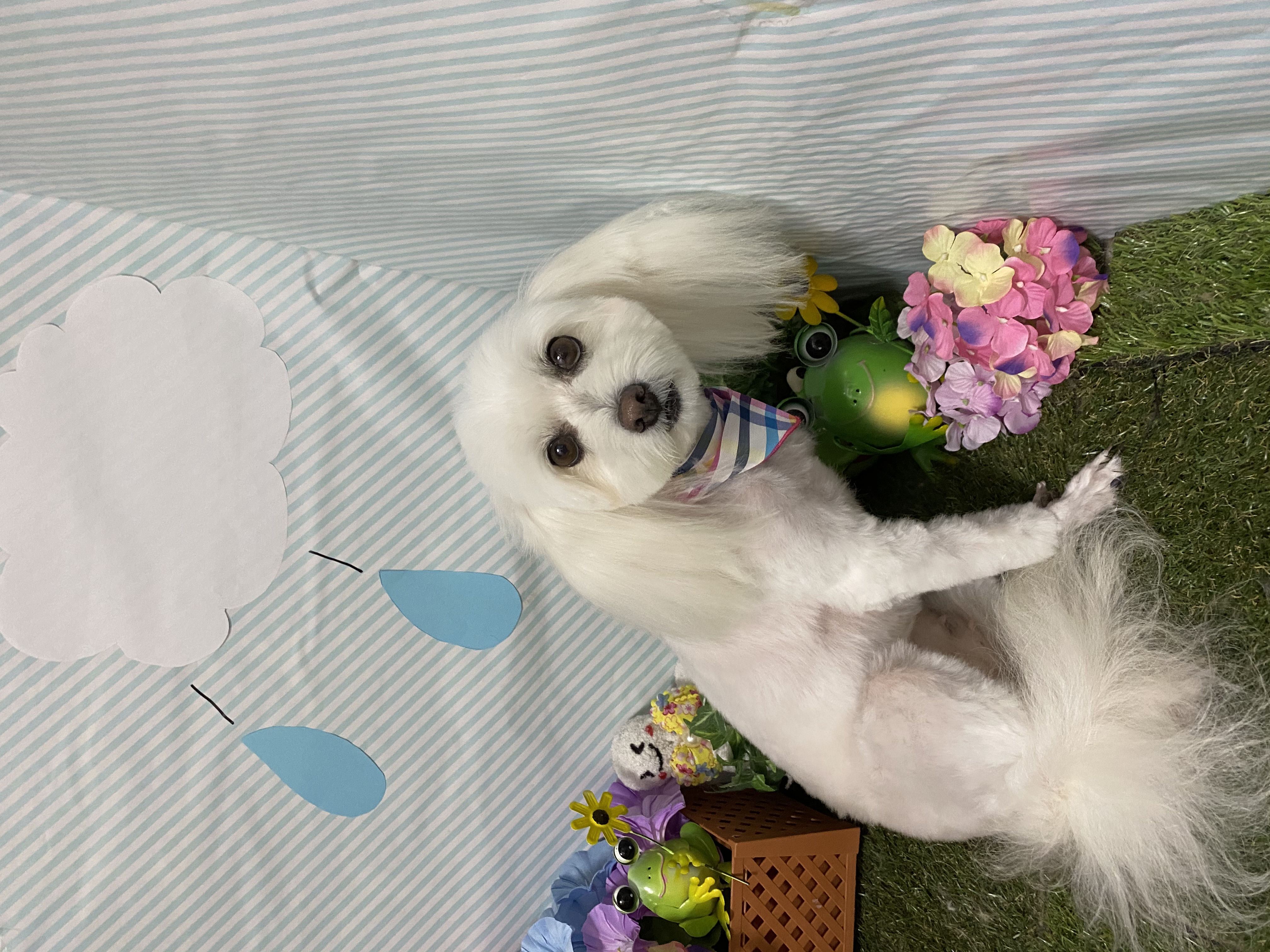 d43598f2-4942-43c2-b857-8b7f0c5d04b4